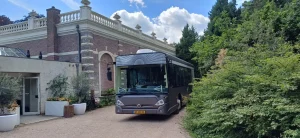 Grote grijze rouwbus - foto 1