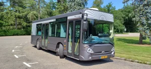 Grote grijze rouwbus - foto 2