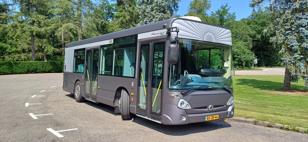 Grote grijze rouwbus - foto 2