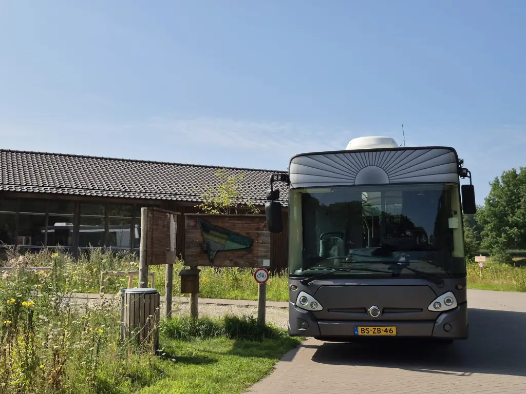 Grote grijze rouwbus - foto 3