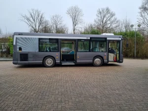 Grote grijze rouwbus - foto 4