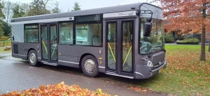 Grote grijze rouwbus - foto 6